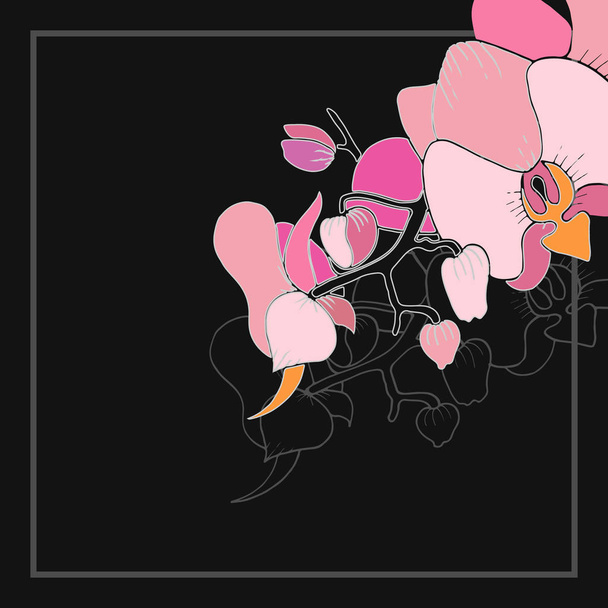 Sprig of pink orchids   - Vector, imagen