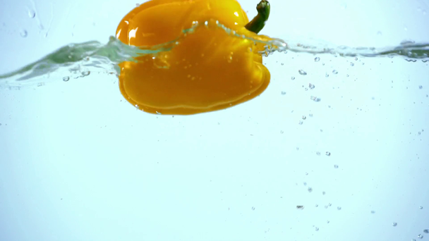 Φωτεινή κίτρινη πιπεριά βύθιση σε καθαρά νερά σε μπλε φόντο με οπίσθιο φωτισμό - Πλάνα, βίντεο