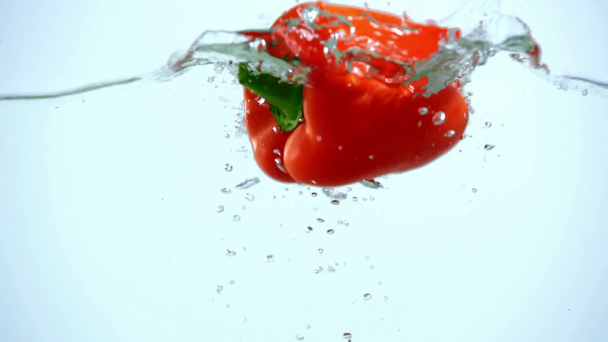 leuchtend roter Paprika taucht in klares Wasser auf blauem Hintergrund mit Hintergrundbeleuchtung - Filmmaterial, Video