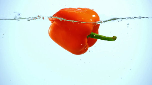 leuchtend orangefarbener Paprika taucht in klares Wasser auf blauem Hintergrund mit Hintergrundbeleuchtung - Filmmaterial, Video