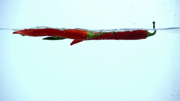 jasně červené a zelené chilli papričky namáčení v čisté vodě na modrém podkladu s podsvícením - Záběry, video