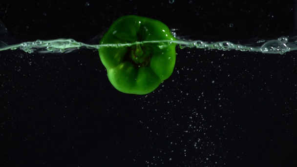 Stüdyo çekimleri siyah arka plan üzerine açık suya daldırma renkli yeşil dolmalık biber - Video, Çekim
