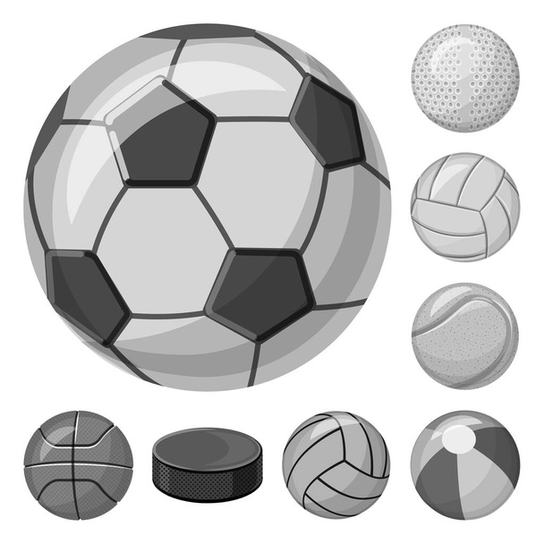 Spor ve topu işareti yalıtılmış nesne. Spor ve spor stok vektör çizim koleksiyonu. - Vektör, Görsel