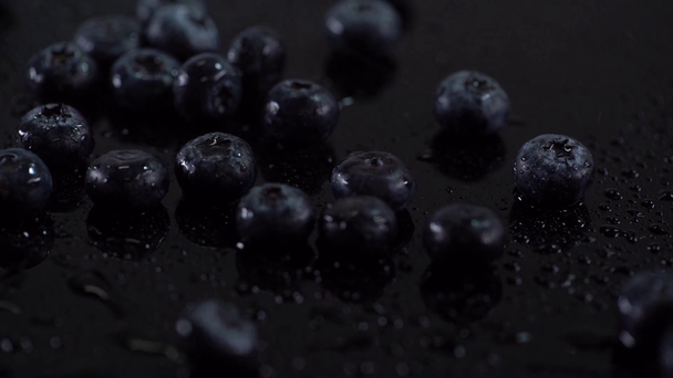 Studiotrieb von nassen Blaubeeren, die mit Tropfen auf schwarze Oberfläche fallen - Filmmaterial, Video