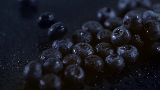 студийная съемка мокрой черники, разбросанной по черной поверхности с каплями
 - Кадры, видео