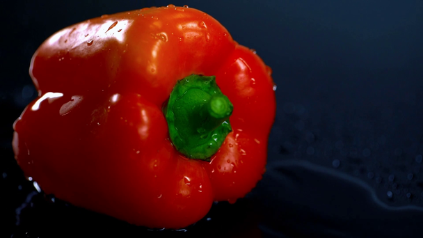 Studiotrieb von Wasser, das auf reifen Paprika auf dunkler Oberfläche mit Pfützen gießt - Filmmaterial, Video