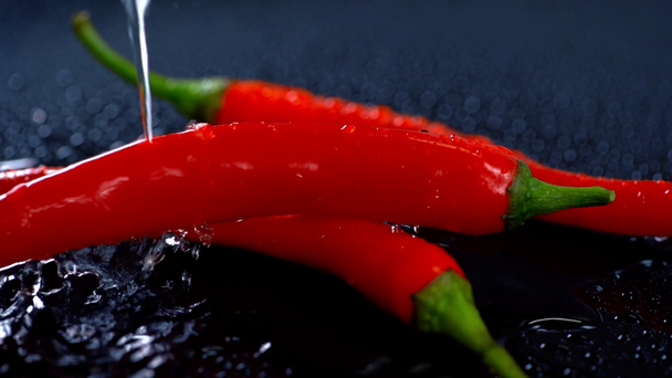 strzelać Studio wody leje na dojrzałe red hot chili peppers na ciemnej powierzchni - Materiał filmowy, wideo