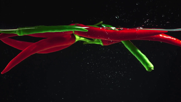 studio shoot van kleurrijke groene en rode paprika's met splash vallen helder water op zwarte achtergrond - Video