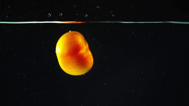 studio shoot of colorful red apple falling into clear water on black background - Filmati, video