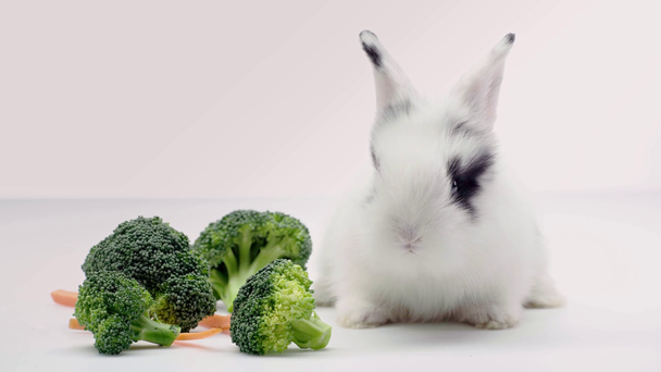 cute rabbit with black spot on muzzle sitting near broccoli and carrot on white background - Footage, Video