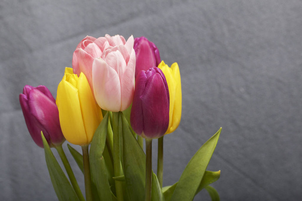 Bouquet of tulips of different colors on a gray background. - Fotó, kép