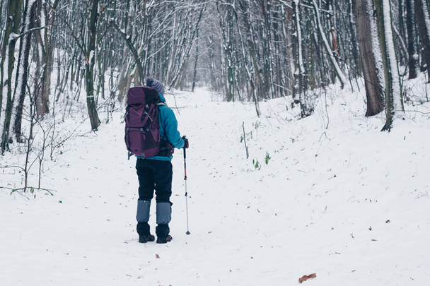 Full growth young girl with backpack from the back in the winter forest - Photo, Image