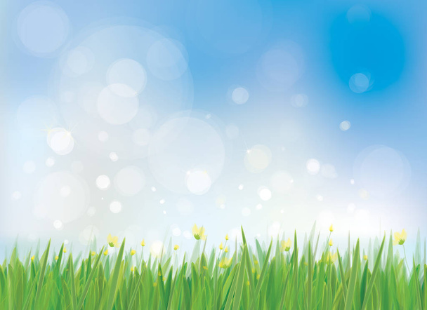 весенний фон с белыми одуванчиками, векторная иллюстрация
 - Вектор,изображение