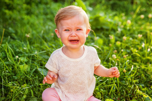 Sweet crying screaming little baby girl sitting on grass in park, garden, meadow - Photo, Image