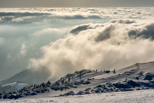 コパオニク国立公園、セルビアで雪に覆われた山の風景パノラマ - 写真・画像