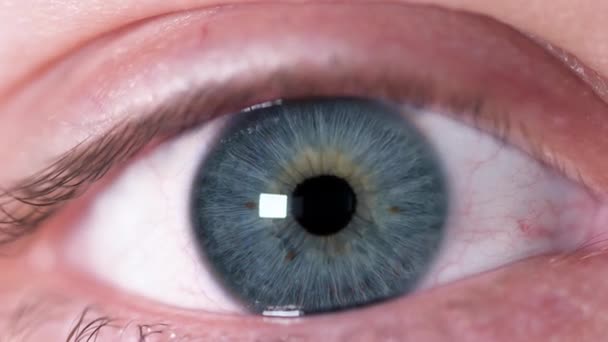 Gros plan de l'œil humain. Gros plan d'un bel œil humain bleu avec des taches brunes sur l'iris. Réaction de serrer la pupille humaine dans la lumière
 - Séquence, vidéo