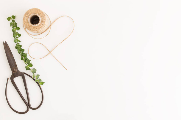Flat lay photo rustic scissors and branches and sack rope on white background - 写真・画像