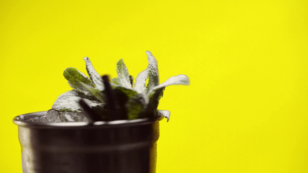 Закрыть вид на коктейль мохито в мокром серебряном стакане с листьями мяты и льдом, вращающимся изолированным на желтом
 - Кадры, видео