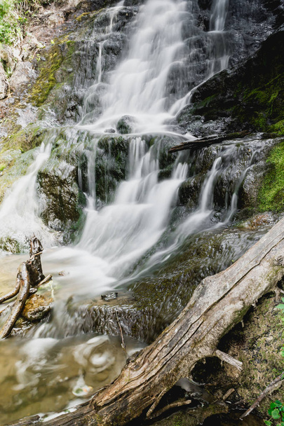 Cachoeira cênica no rio da montanha na floresta de verão. Viagem ao longo do rio
. - Foto, Imagem