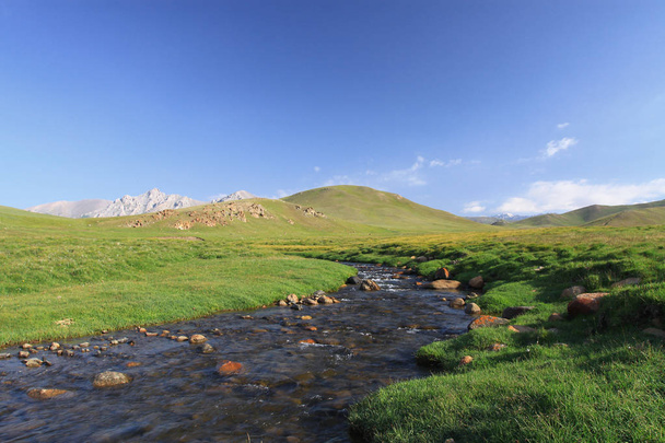 Καταπράσινη κοιλάδα δίπλα στη λίμνη τραγούδι Kul, Κιργιζία. Ηλιόλουστη ημέρα με μπλε ουρανό και άσπρα σύννεφα. - Φωτογραφία, εικόνα