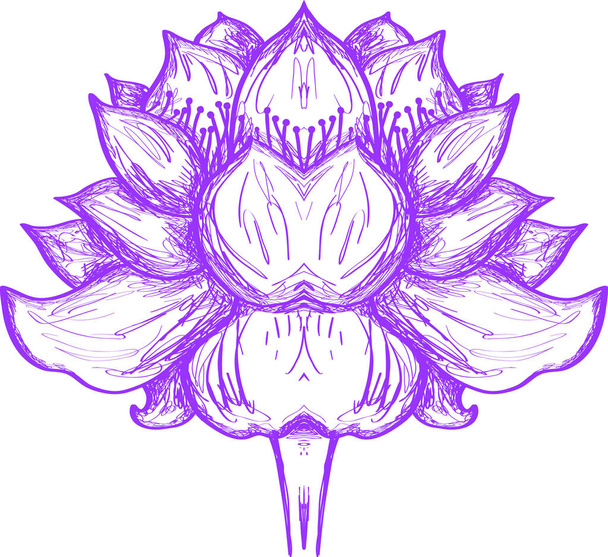 Ілюстрація квітка лотоса
 - Вектор, зображення