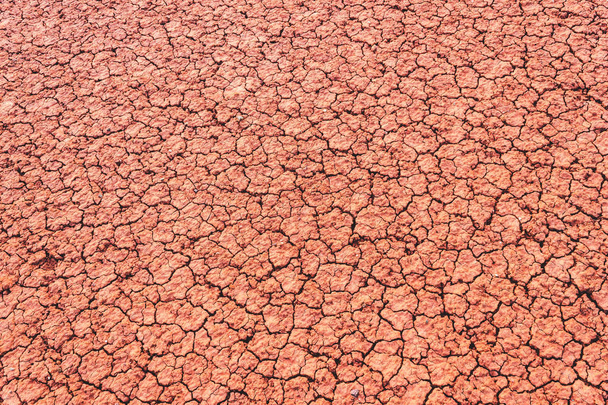 Dry cracked soil in empty. Lack of water, need for land reclamation. Global warming, climate change. - Photo, Image