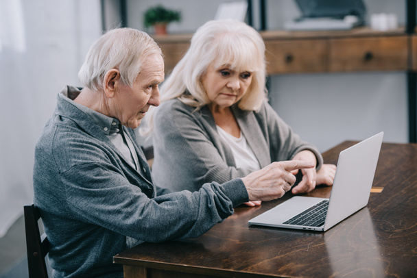 starší pár s šedými vlasy, sedí u stolu a použití přenosného počítače v domácnosti - Fotografie, Obrázek