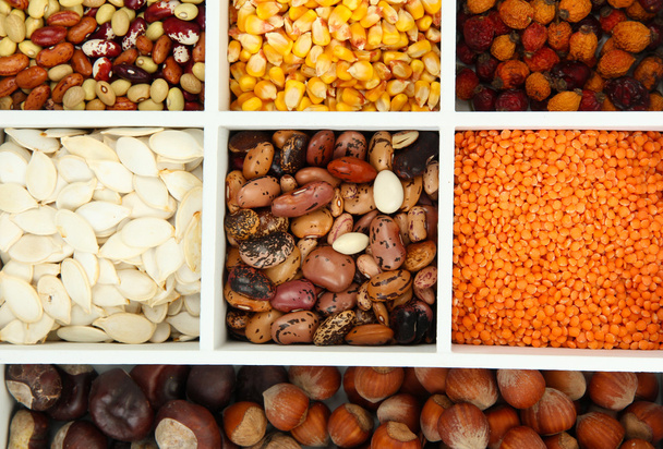 Assortment of chestnut,beans - Zdjęcie, obraz