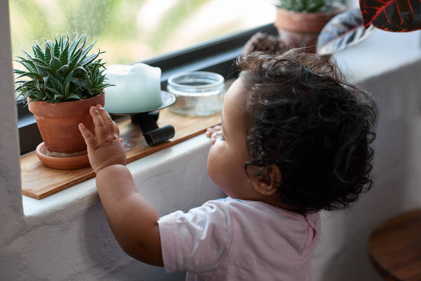 Niño curioso tocando una maceta en el alféizar de la ventana
  - Foto, imagen