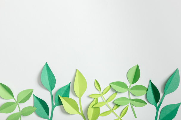 gri arka plan üzerinde üstten görünüm ile yeşil kağıt bitkilerin yaprakları - Fotoğraf, Görsel