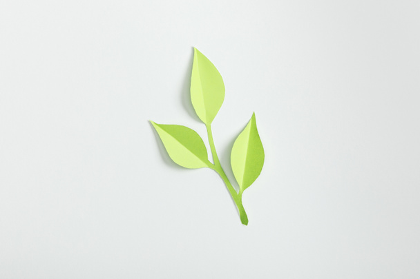 top view of green paper plant on grey background - Φωτογραφία, εικόνα