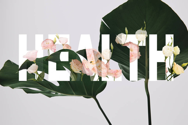 hojas de monstera sobre fondo gris con flores de eustoma ilustración y letras de salud
 - Foto, Imagen