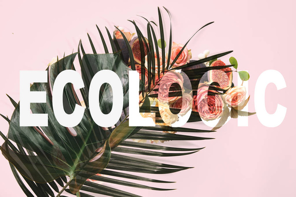 monstera leaves on pink background with roses illustration and ecologic lettering - Photo, Image