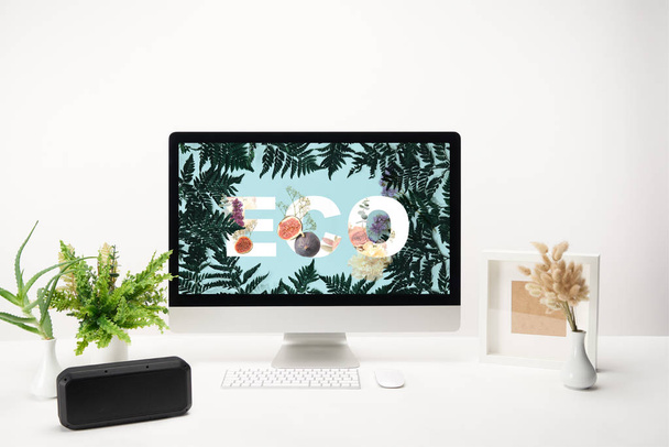 computer with eco lettering and fern green leaves on monitor on desk on white background - 写真・画像