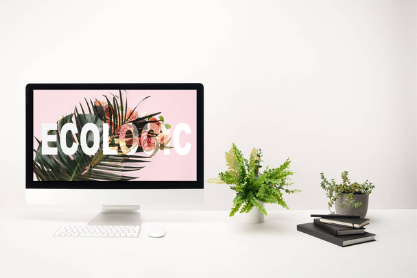 computer with green monstera leaves and roses with nature lettering on monitor on white background - Foto, afbeelding