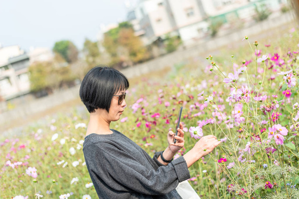 woman take a picture on a flower - Photo, Image