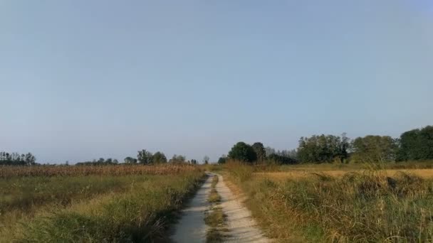 Land onverharde weg in Lomellina bij zonsondergang - Video
