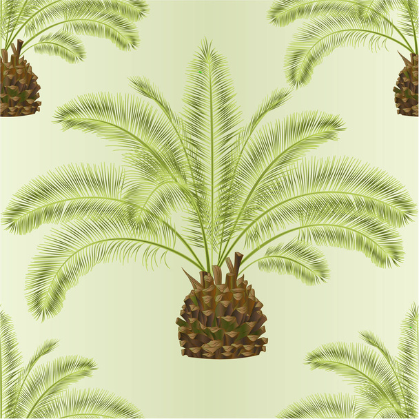 Naadloze textuur tropische plant Palmae Phoenix canariensis Dadelpalm Palmenfamilie en bladeren op een witte achtergrond vintage vectorillustratie bewerkbare hand loting  - Vector, afbeelding