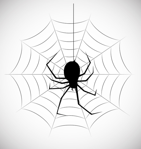 Spider in the web - Вектор, зображення