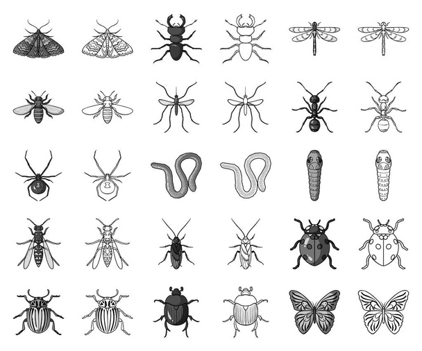 Different kinds of insects monochrome,outline icons in set collection for design. Insect arthropod vector symbol stock web illustration. - Вектор,изображение