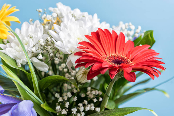 A bouquet of bright flowers on a colored background - Фото, зображення