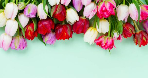 Fresh tulips flowers - Foto, afbeelding