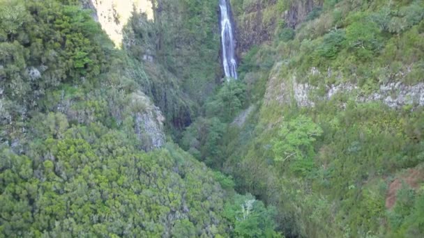 Cascada Risco en la isla de Madeira
. - Metraje, vídeo