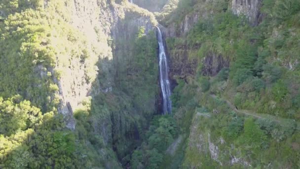 Risco водоспад на острові Мадейра. - Кадри, відео