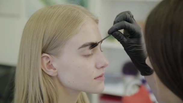 Makeup artist makes eyebrow staining with natural dyes, toning with henna, cosmetic procedures in the beauty salon. - Video, Çekim