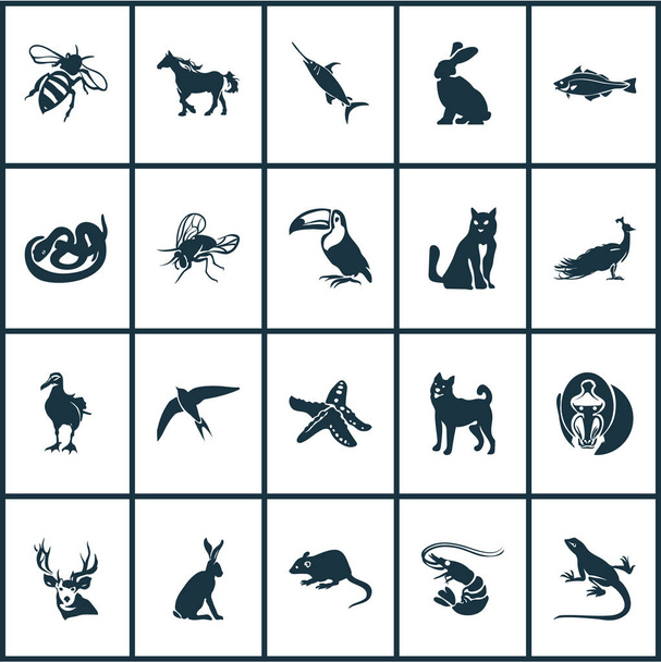 Tiersymbole mit Segler, Albatros, Eidechse und anderen tropischen Vogelelementen. isolierte Vektor Illustration Tier Symbole. - Vektor, Bild