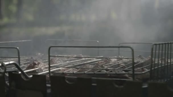Slow motion - Smoke from bbq in daylight. - Footage, Video