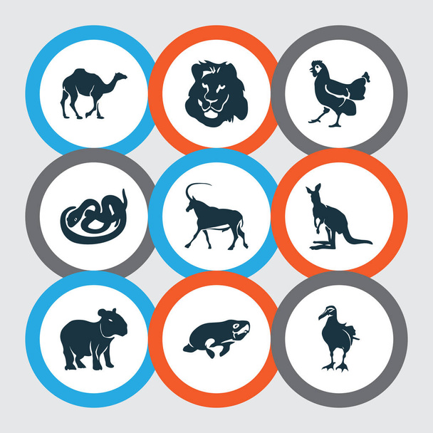 Animal icons set with lion, antelope, snake and other gull elements. Isolated  illustration animal icons. - Fotografie, Obrázek