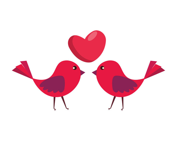aves pareja con corazón amor
 - Vector, imagen