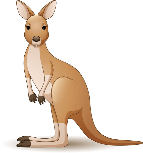 Векторная иллюстрация кенгуру на белом фоне
 - Вектор,изображение